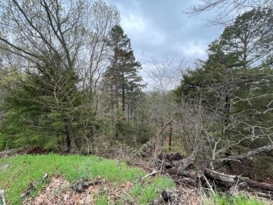 Beautiful lot with lots of potential! Plenty of wildlife for a on Holiday Island Golf Course in Arkansas - for sale on GolfHomes.com, golf home, golf lot