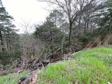 Beautiful lot with lots of potential! Plenty of wildlife for a on Holiday Island Golf Course in Arkansas - for sale on GolfHomes.com, golf home, golf lot