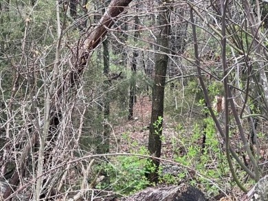 Beautiful lot with lots of potential! Plenty of wildlife for a on Holiday Island Golf Course in Arkansas - for sale on GolfHomes.com, golf home, golf lot