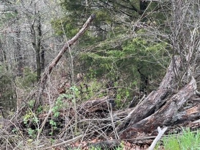 Beautiful lot with lots of potential! Plenty of wildlife for a on Holiday Island Golf Course in Arkansas - for sale on GolfHomes.com, golf home, golf lot