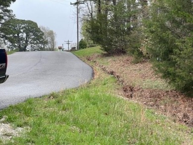 Beautiful lot with lots of potential! Plenty of wildlife for a on Holiday Island Golf Course in Arkansas - for sale on GolfHomes.com, golf home, golf lot