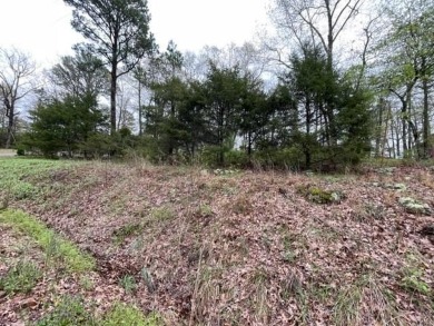Beautiful lot with lots of potential! Plenty of wildlife for a on Holiday Island Golf Course in Arkansas - for sale on GolfHomes.com, golf home, golf lot