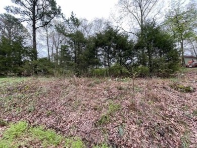 Beautiful lot with lots of potential! Plenty of wildlife for a on Holiday Island Golf Course in Arkansas - for sale on GolfHomes.com, golf home, golf lot