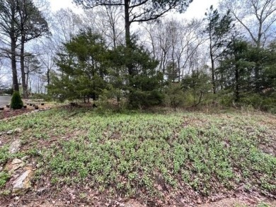 Beautiful lot with lots of potential! Plenty of wildlife for a on Holiday Island Golf Course in Arkansas - for sale on GolfHomes.com, golf home, golf lot