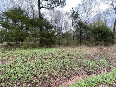 Beautiful lot with lots of potential! Plenty of wildlife for a on Holiday Island Golf Course in Arkansas - for sale on GolfHomes.com, golf home, golf lot