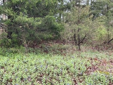 Beautiful lot with lots of potential! Plenty of wildlife for a on Holiday Island Golf Course in Arkansas - for sale on GolfHomes.com, golf home, golf lot