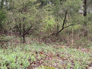 Beautiful lot with lots of potential! Plenty of wildlife for a on Holiday Island Golf Course in Arkansas - for sale on GolfHomes.com, golf home, golf lot