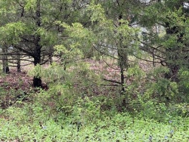 Beautiful lot with lots of potential! Plenty of wildlife for a on Holiday Island Golf Course in Arkansas - for sale on GolfHomes.com, golf home, golf lot