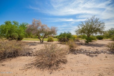 MOTIVATED SELLER, LOWEST PRICE IN BLUE SKY!, SUBMIT  ALL on Tonto Verde Golf Club in Arizona - for sale on GolfHomes.com, golf home, golf lot