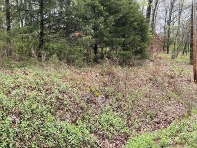 Beautiful lot with lots of potential! Plenty of wildlife for a on Holiday Island Golf Course in Arkansas - for sale on GolfHomes.com, golf home, golf lot