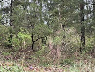 Beautiful lot with lots of potential! Plenty of wildlife for a on Holiday Island Golf Course in Arkansas - for sale on GolfHomes.com, golf home, golf lot