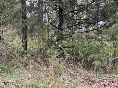 Beautiful lot with lots of potential! Plenty of wildlife for a on Holiday Island Golf Course in Arkansas - for sale on GolfHomes.com, golf home, golf lot