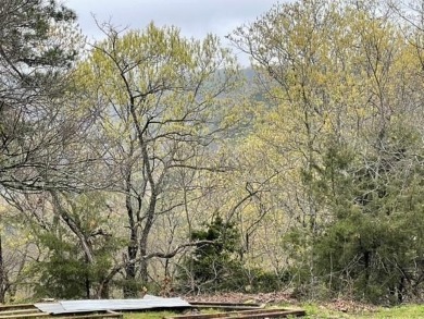 Beautiful lot with lots of potential! Wonderful views with on Holiday Island Golf Course in Arkansas - for sale on GolfHomes.com, golf home, golf lot