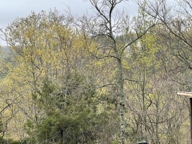Beautiful lot with lots of potential! Wonderful views with on Holiday Island Golf Course in Arkansas - for sale on GolfHomes.com, golf home, golf lot