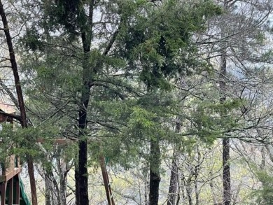 Beautiful lot with lots of potential! Wonderful views with on Holiday Island Golf Course in Arkansas - for sale on GolfHomes.com, golf home, golf lot