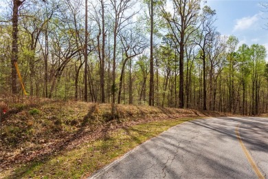 Chickasaw Point in Westminster S.C. is the perfect place to on The Trail At Chickasaw Pointe in South Carolina - for sale on GolfHomes.com, golf home, golf lot
