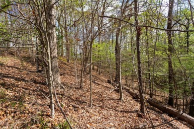 Chickasaw Point in Westminster S.C. is the perfect place to on The Trail At Chickasaw Pointe in South Carolina - for sale on GolfHomes.com, golf home, golf lot