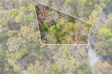 Chickasaw Point in Westminster S.C. is the perfect place to on The Trail At Chickasaw Pointe in South Carolina - for sale on GolfHomes.com, golf home, golf lot