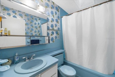 **New Waterfront Handyman Special - Your Dream Canal Home on Palm Harbor Golf Club in Florida - for sale on GolfHomes.com, golf home, golf lot