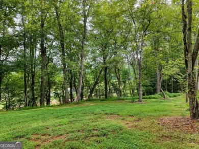 ESTATE OR COMPOUMD READY! 9.64 ACRES GATED PRIVACY OVERLOOKING on Old Union Golf Course in Georgia - for sale on GolfHomes.com, golf home, golf lot