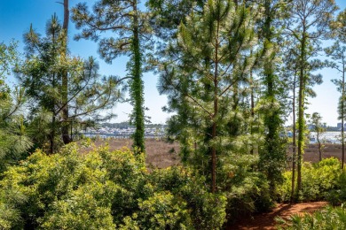 Enjoy beautiful views of the Choctawhatchee Bay and the on Sandestin Golf and Beach Resort - Raven in Florida - for sale on GolfHomes.com, golf home, golf lot