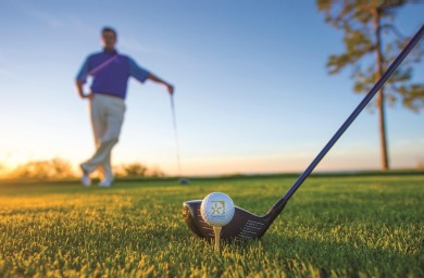 Enjoy beautiful views of the Choctawhatchee Bay and the on Sandestin Golf and Beach Resort - Raven in Florida - for sale on GolfHomes.com, golf home, golf lot