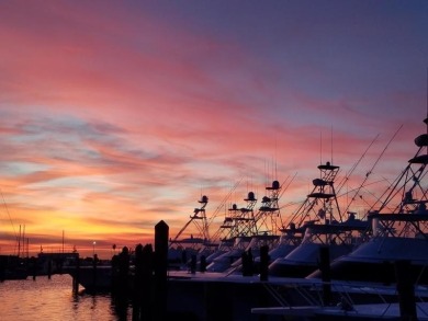 Peaceful pond view to enjoy your morning coffee from this on Ocean Village Golf Course in Florida - for sale on GolfHomes.com, golf home, golf lot