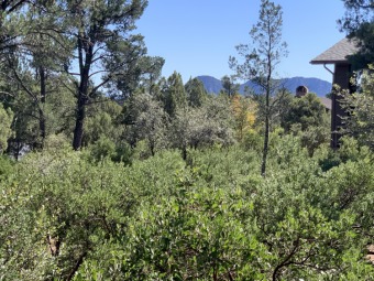 This gently sloping lot is perfect for a single story home and on The Golf Club At Chaparral Pines in Arizona - for sale on GolfHomes.com, golf home, golf lot