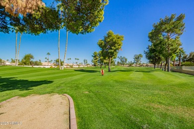 Step into comfort and style with this delightful 2-bedroom, 2 on Sun Village Golf Course in Arizona - for sale on GolfHomes.com, golf home, golf lot