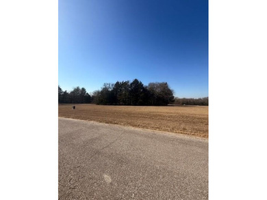 Beautiful and exceptional resort community lot located in the on Rock Creek Golf Club in Texas - for sale on GolfHomes.com, golf home, golf lot