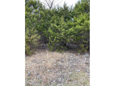 Who doesn't want to live on an island? Now you can when you buy on Holiday Island Golf Course in Arkansas - for sale on GolfHomes.com, golf home, golf lot