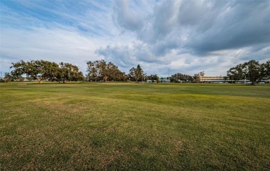 Welcome to this newly improved 2-bedroom, 2-bathroom end unit on On Top Of The World Golf Course in Florida - for sale on GolfHomes.com, golf home, golf lot