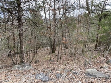Who doesn't want to live on an island? Now you can when you buy on Holiday Island Executive Golf Course in Arkansas - for sale on GolfHomes.com, golf home, golf lot