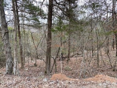 Who doesn't want to live on an island? Now you can when you buy on Holiday Island Executive Golf Course in Arkansas - for sale on GolfHomes.com, golf home, golf lot