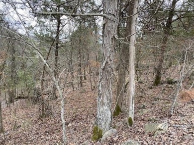 Who doesn't want to live on an island? Now you can when you buy on Holiday Island Executive Golf Course in Arkansas - for sale on GolfHomes.com, golf home, golf lot