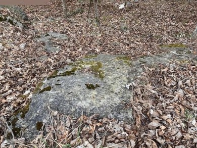 Who doesn't want to live on an island? Now you can when you buy on Holiday Island Executive Golf Course in Arkansas - for sale on GolfHomes.com, golf home, golf lot
