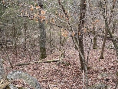 Who doesn't want to live on an island? Now you can when you buy on Holiday Island Executive Golf Course in Arkansas - for sale on GolfHomes.com, golf home, golf lot