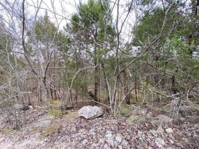 Who doesn't want to live on an island? Now you can when you buy on Holiday Island Executive Golf Course in Arkansas - for sale on GolfHomes.com, golf home, golf lot