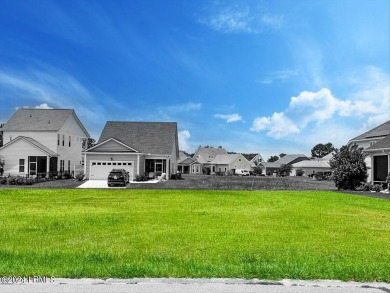 Step into luxury living at Hilton Head Lakes! This stunning on Hilton Head Lakes Golf Club in South Carolina - for sale on GolfHomes.com, golf home, golf lot