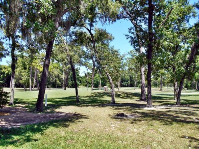 Rolling Greens Village is a friendly resort-style 55+ community on Rolling Greens Executive Golf Community in Florida - for sale on GolfHomes.com, golf home, golf lot