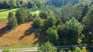 Prime Golf Frontage Lot on Forest Dunes.  Welcome to a truly on Forest Dunes Golf Club in Michigan - for sale on GolfHomes.com, golf home, golf lot