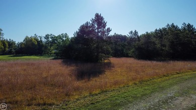 Prime Golf Frontage Lot on Forest Dunes.  Welcome to a truly on Forest Dunes Golf Club in Michigan - for sale on GolfHomes.com, golf home, golf lot