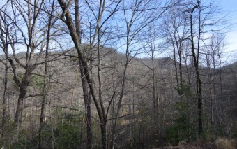 21+/- ACRES OF BEAUTIFULLY WOODED NORTH CAROLINA MOUNTAIN LAND!! for sale on GolfHomes.com
