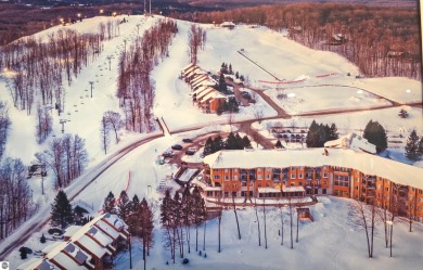 If you're searching for a base camp with stunning views and on  in Michigan - for sale on GolfHomes.com, golf home, golf lot