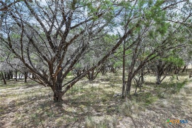 SINGLE LOT or Rare opportunity to own FOUR ADJACENT vacant lots on Lago Vista Golf Club in Texas - for sale on GolfHomes.com, golf home, golf lot