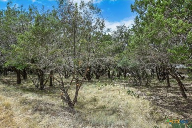 SINGLE LOT or Rare opportunity to own FOUR ADJACENT vacant lots on Lago Vista Golf Club in Texas - for sale on GolfHomes.com, golf home, golf lot