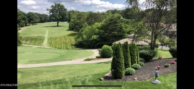 One of a kind Views... Beautiful golf front home w/ partial lake on Tanasi Golf Course in Tennessee - for sale on GolfHomes.com, golf home, golf lot