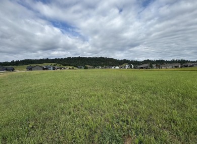 For more information, please contact listing agent Michael on Elkhorn Ridge Golf Course in South Dakota - for sale on GolfHomes.com, golf home, golf lot