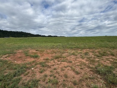 For more information, please contact listing agent Michael on Elkhorn Ridge Golf Course in South Dakota - for sale on GolfHomes.com, golf home, golf lot