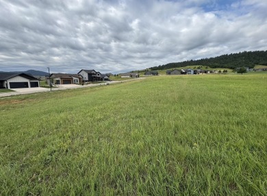 For more information, please contact listing agent Michael on Elkhorn Ridge Golf Course in South Dakota - for sale on GolfHomes.com, golf home, golf lot